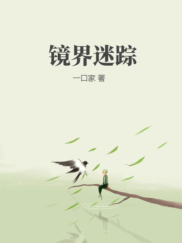 镜界迷踪