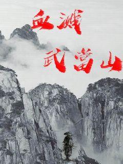 血溅武当山