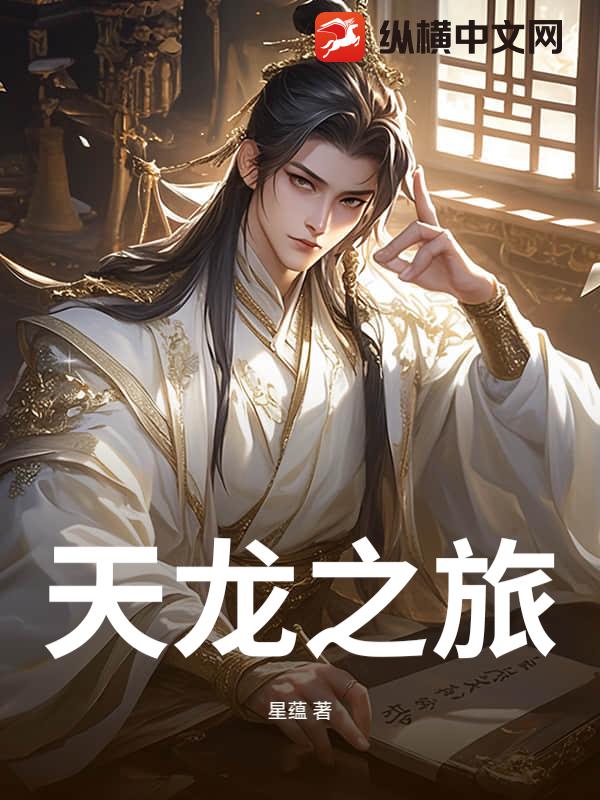 天龙之旅小说