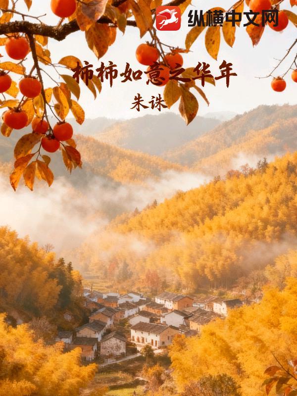 柿柿如意之华年