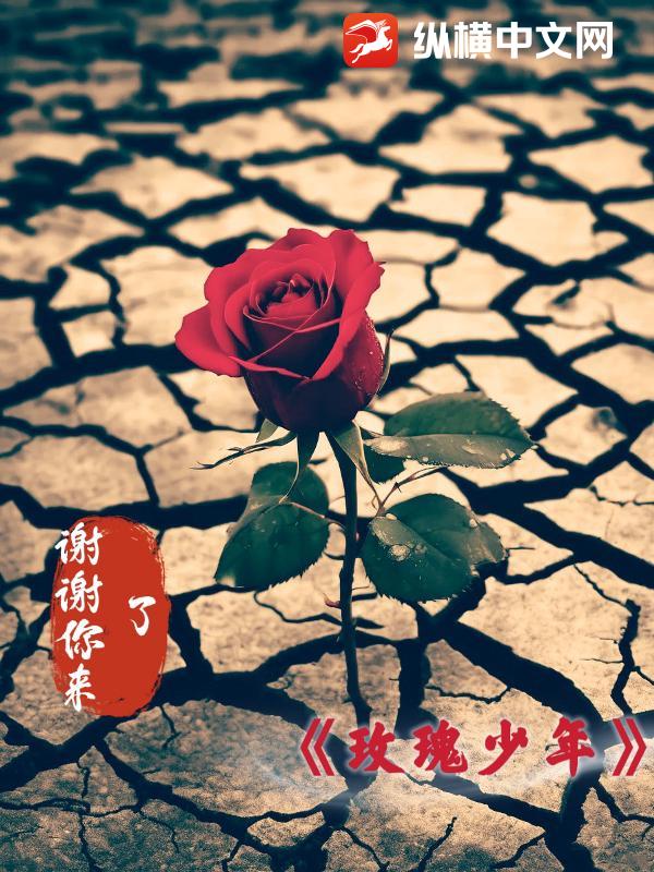 玫瑰少年