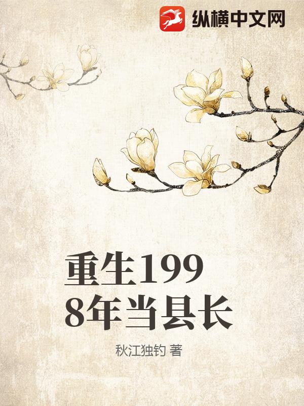 重生1998年当县长