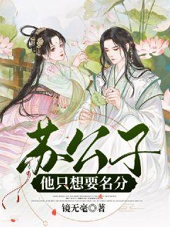 苏公子他只想要名分