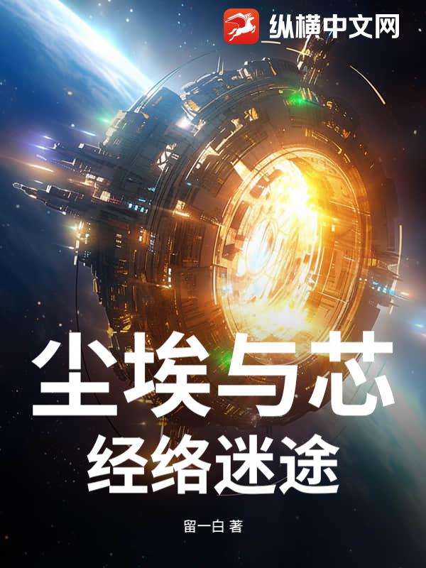 尘埃与芯：经络迷途