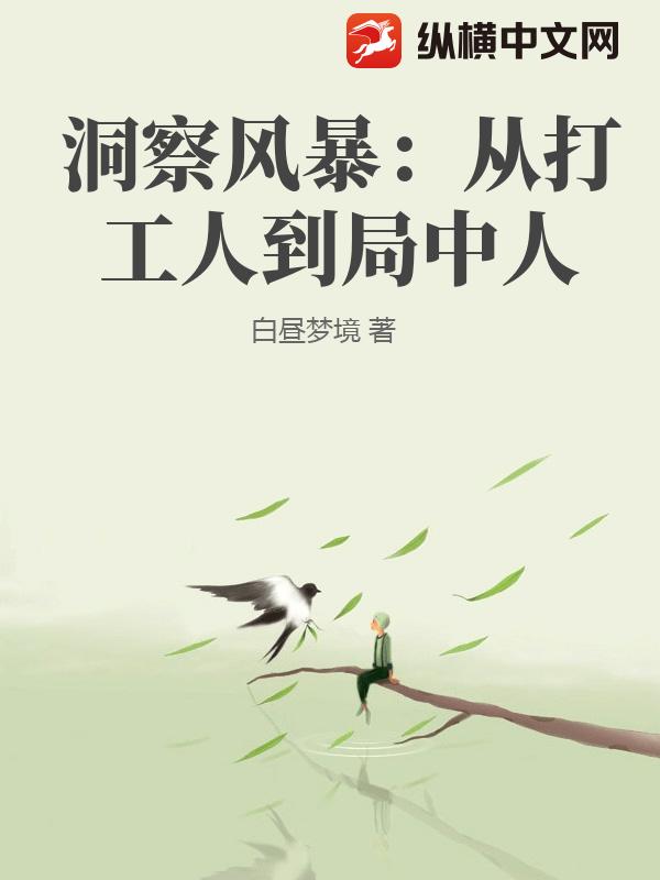 洞察风暴：从打工人到局中人