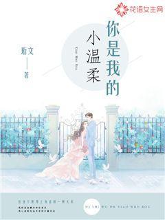 你是我的小温柔