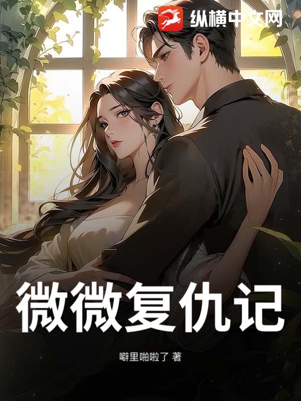 微微复仇记小说
