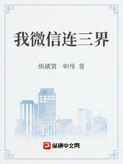 我微信连三界