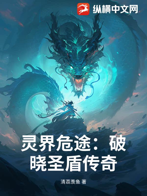 灵界危途：破晓圣盾传奇