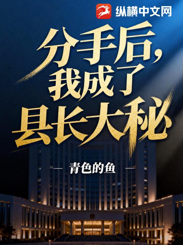 分手后，我成了县长大秘小说
