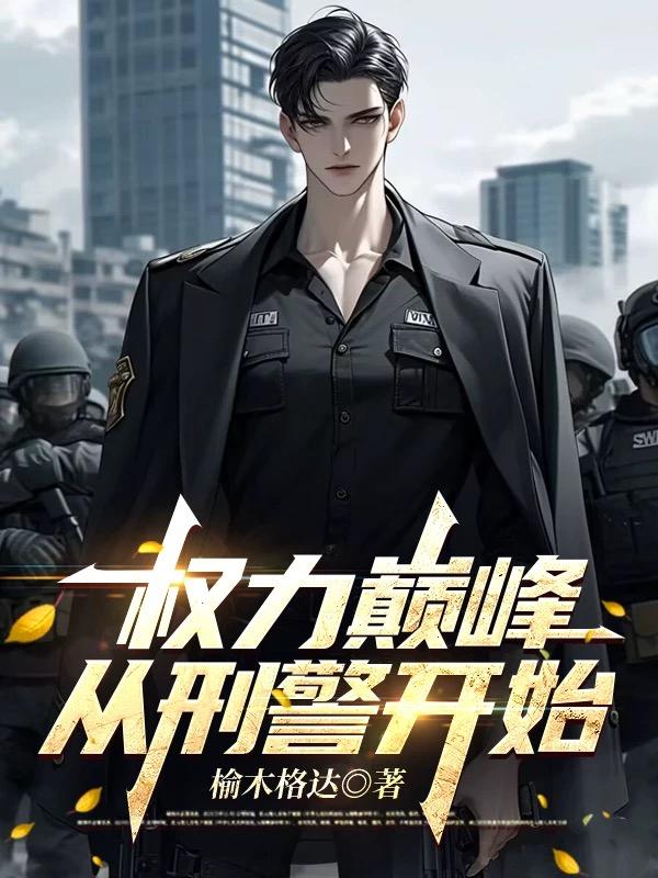 权力巅峰：从刑警开始