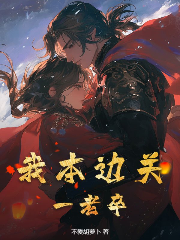 我本边关一老卒