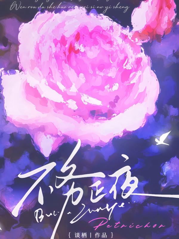 不务正夜