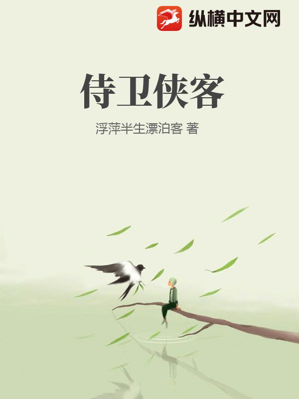 侍卫侠客小说