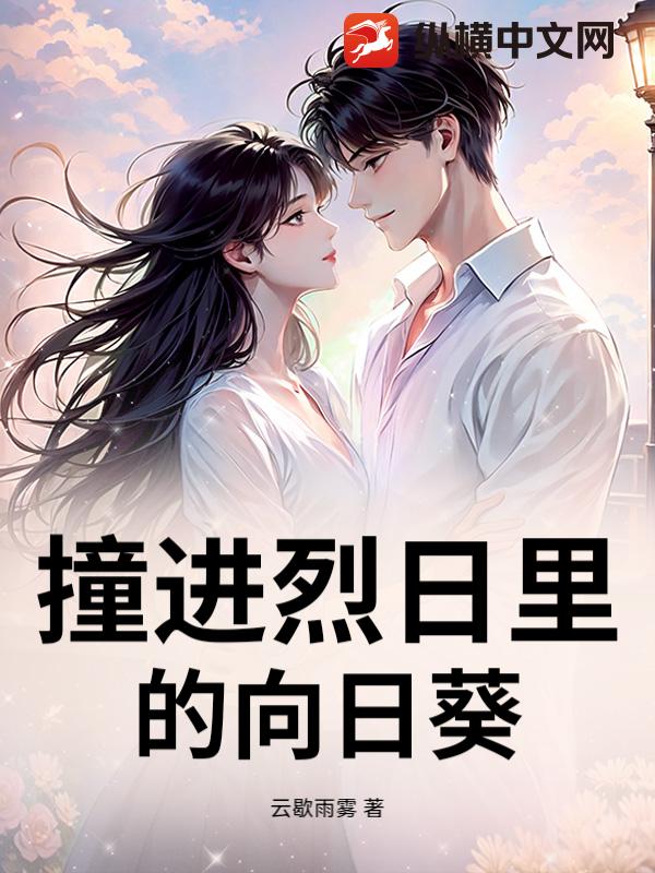 撞进烈日里的向日葵小说