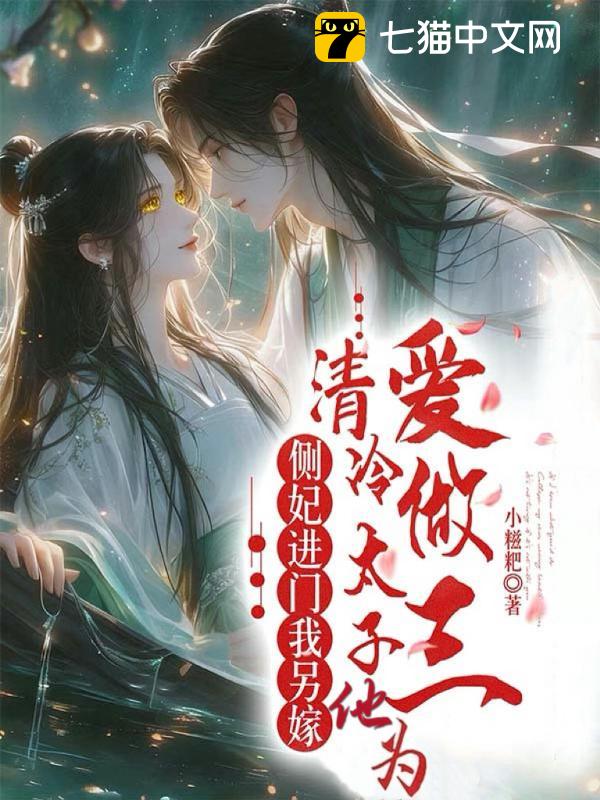 侧妃进门我另嫁，清冷太子他为爱做三