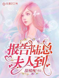 报告陆总，夫人到