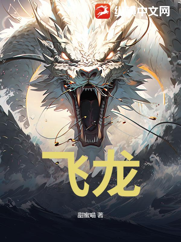飞龙