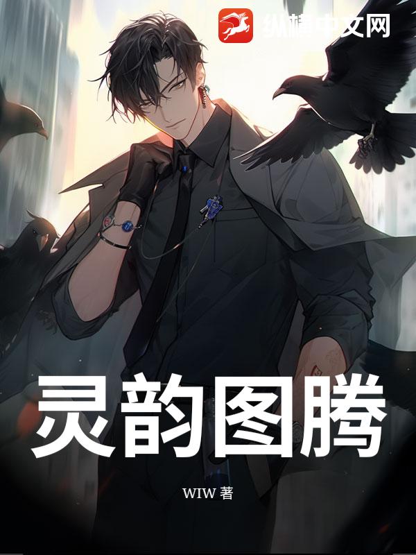 灵韵图腾小说