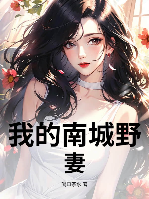 我的南城野妻