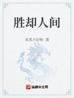 书籍1162304