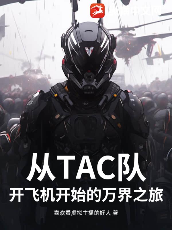 TACӿɻʼ֮