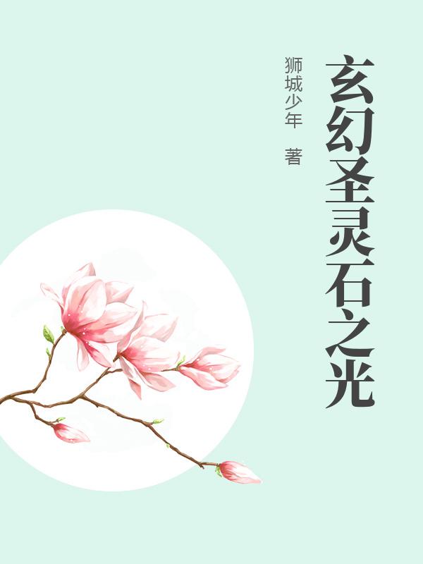玄幻圣灵石之光