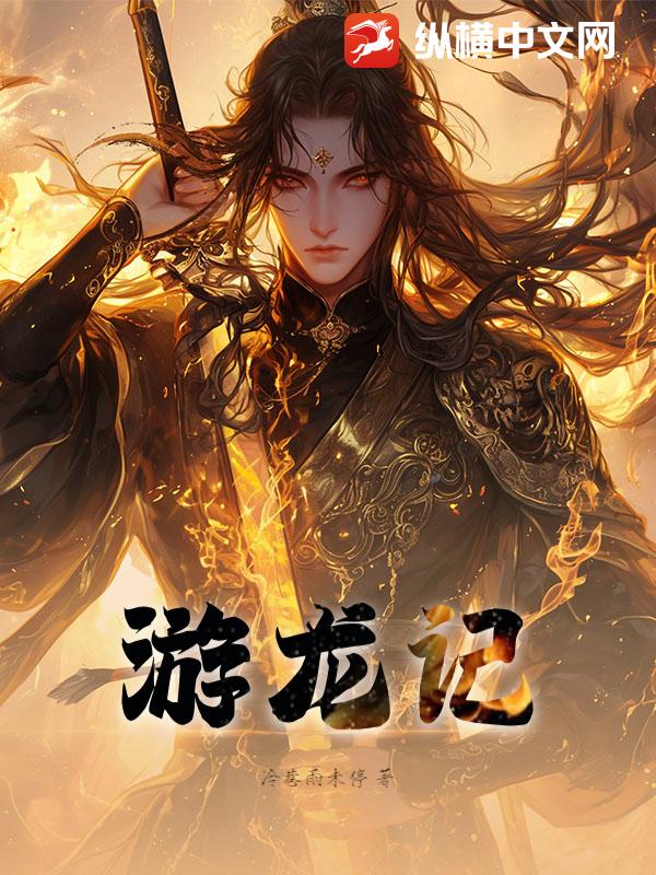 游龙记小说