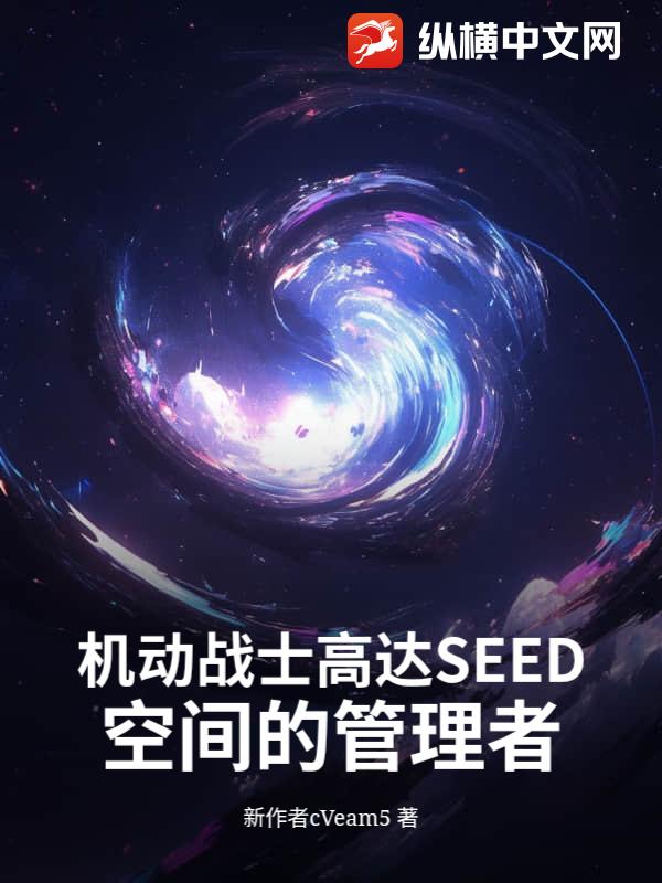机动战士高达SEED空间的管理者