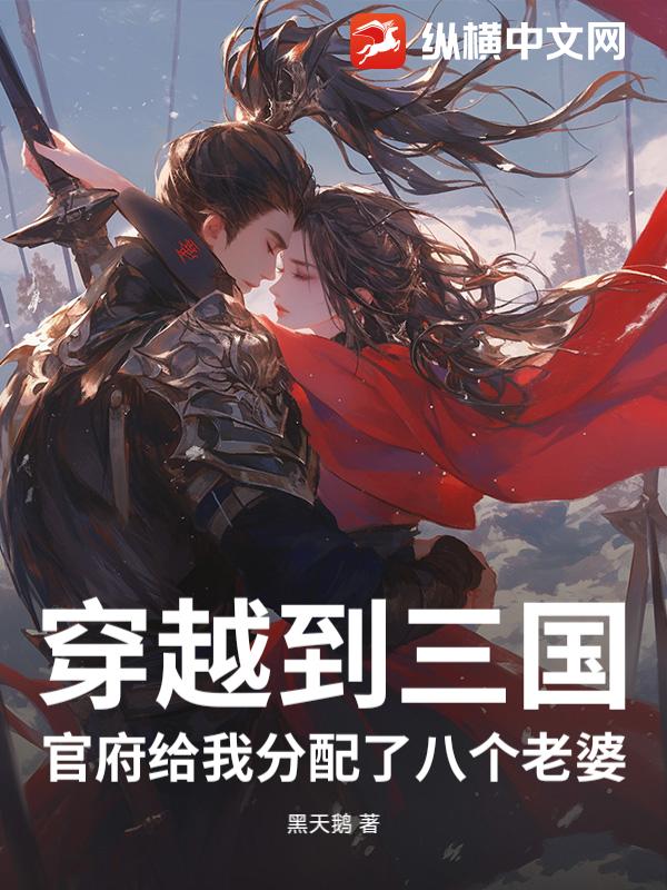穿越到三国官府给我分配了八个老婆_黑天鹅