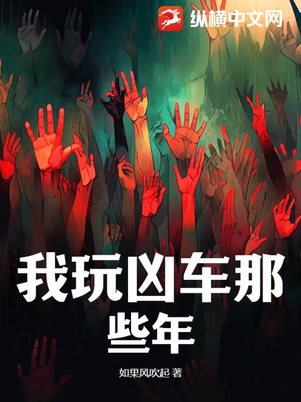我玩凶车那些年