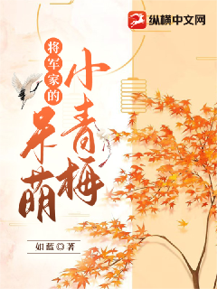 将军家的呆萌小青梅