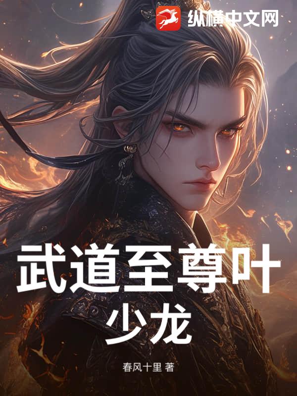 武道至尊叶少龙