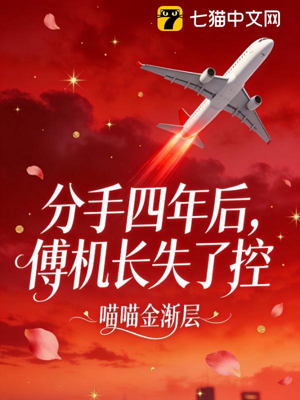 分手四年后，傅机长失了控