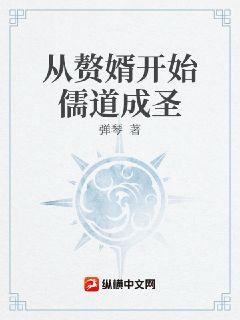 从赘婿开始儒道成圣