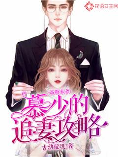 高糖来袭：慕少的追妻攻略