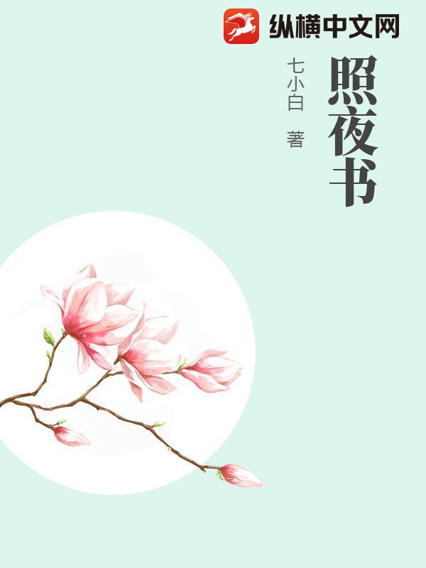 照夜书