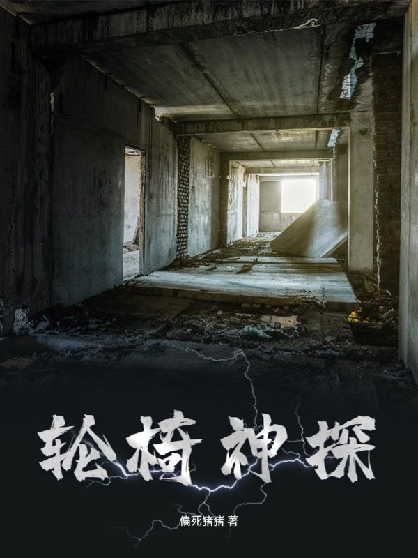 轮椅神探