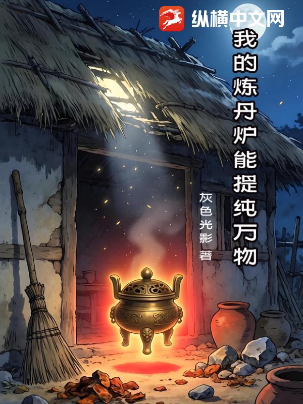 我的炼丹炉