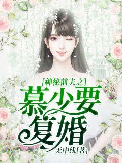 神秘前夫之慕少要复婚