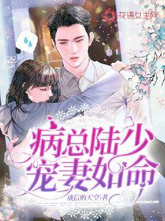 病总陆少宠妻如命