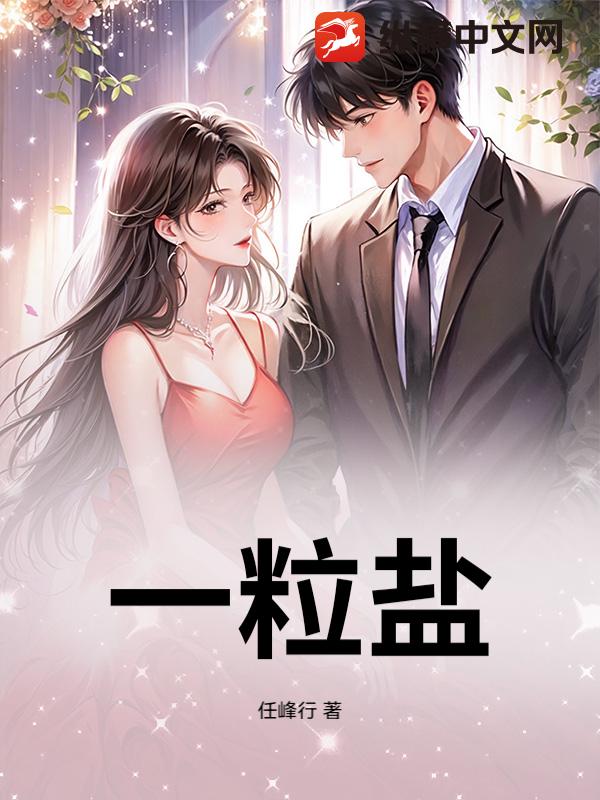 一粒盐小说