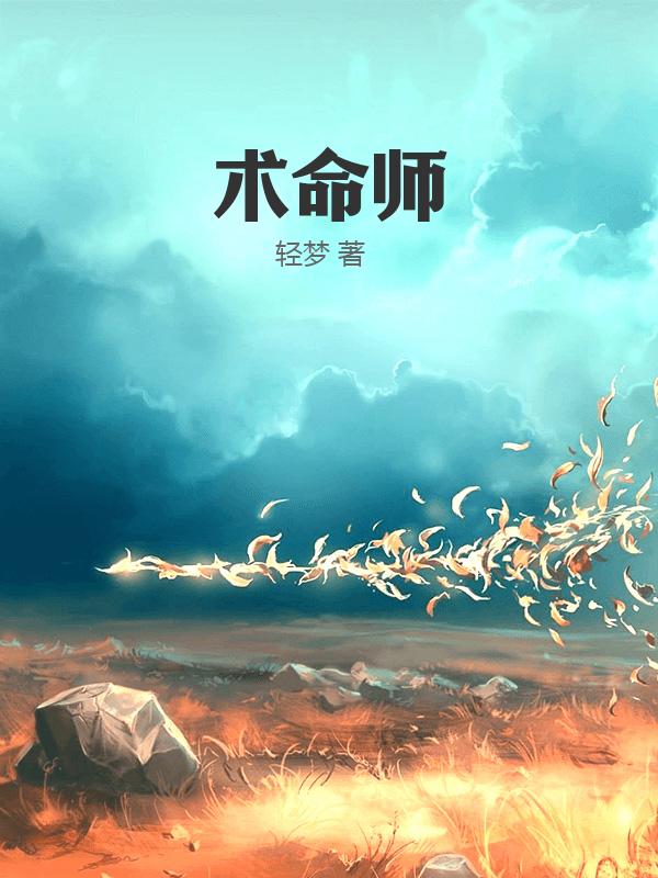 术命师