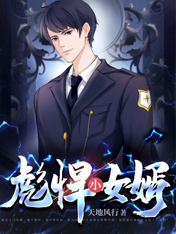 彪悍小女婿小说