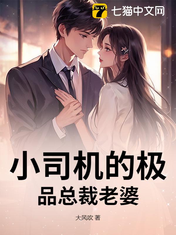 小司机的极品总裁老婆