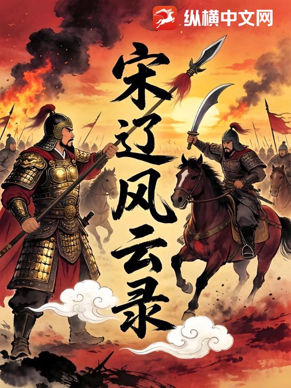 宋辽风云录