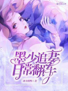 墨少追妻日常翻车