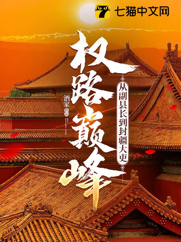 权路巅峰：从副县长到封疆大吏
