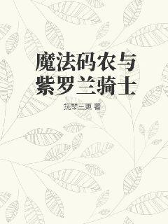 魔法码农与紫罗兰骑士