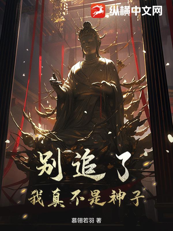 别追了！我真不是神子！